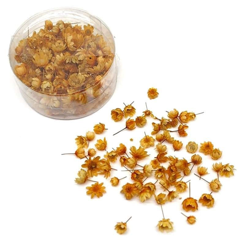 Dried Flowers 140pcs