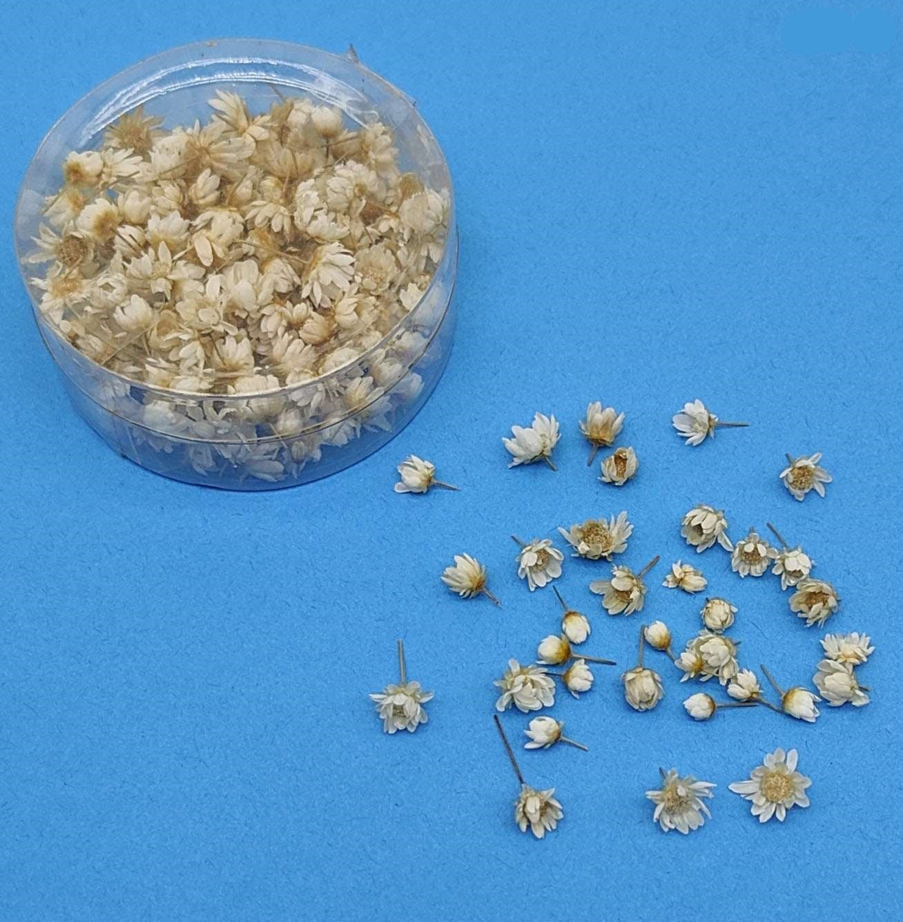 Dried Flowers 140pcs