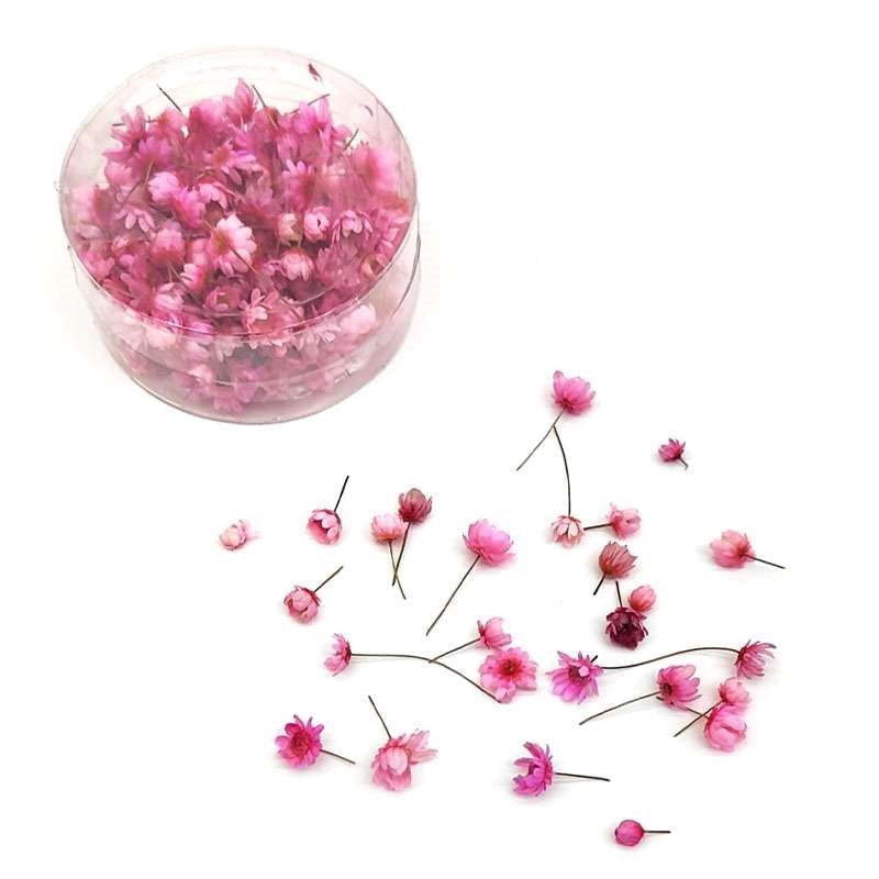 Dried Flowers 140pcs