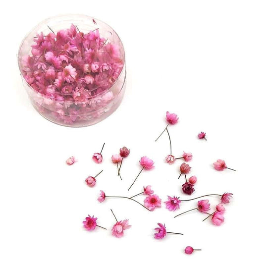 Dried Flowers 140pcs