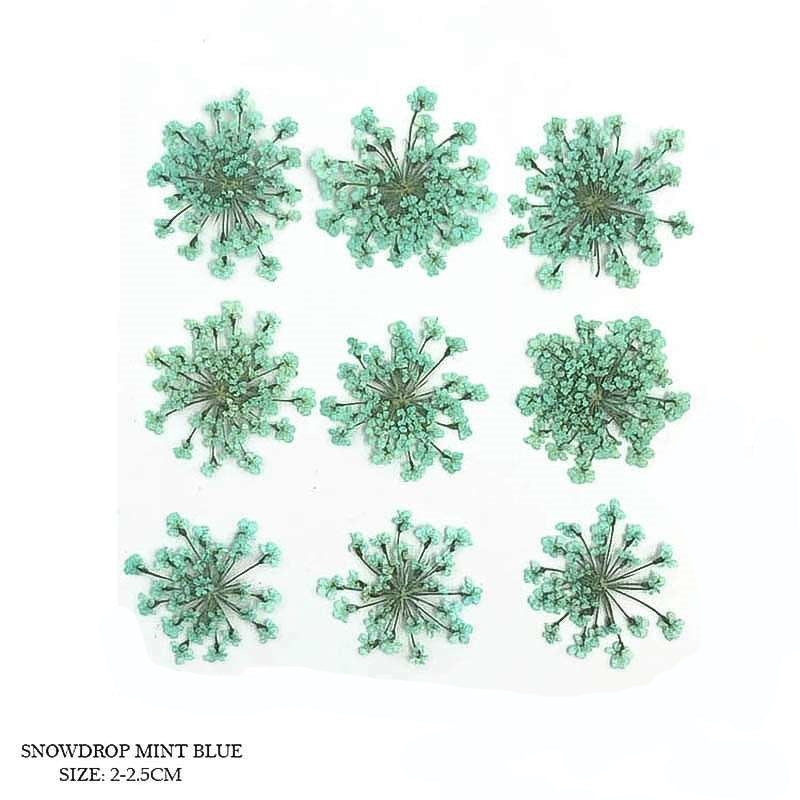 Natural Dried Pressed Snowdrop Flowers Mint Blue