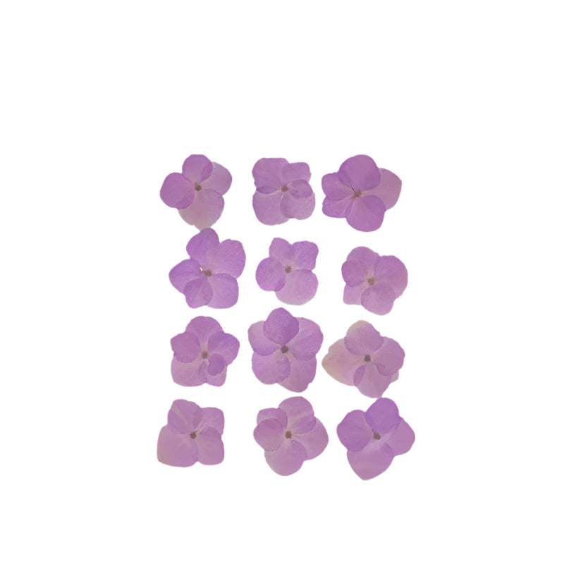 Natural Dried Pressed Flowers