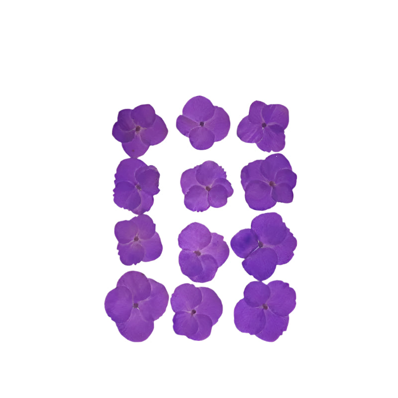 Natural Dried Pressed Flowers