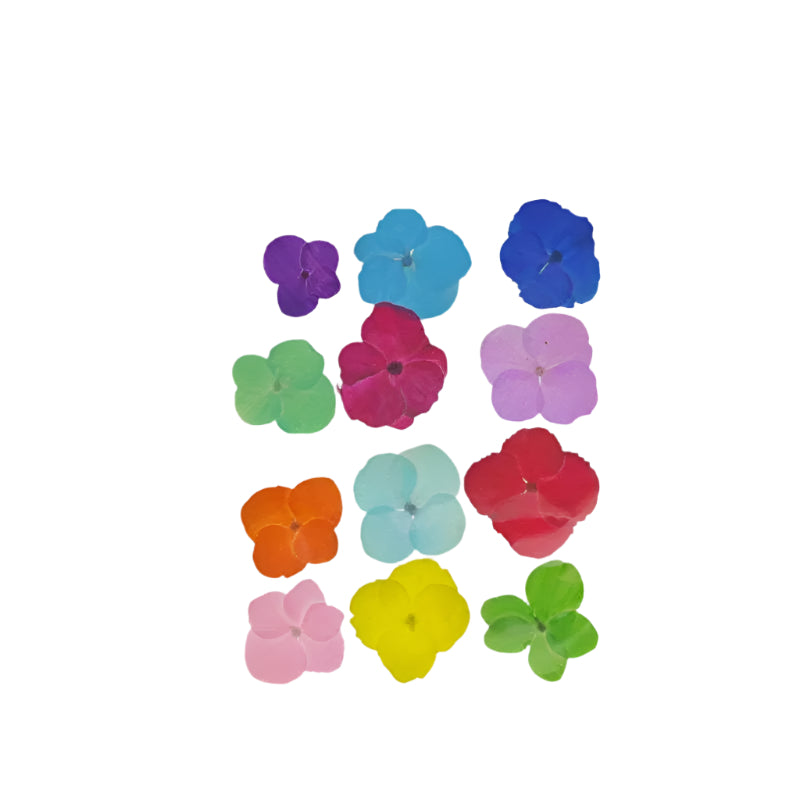 Natural Dried Pressed Flowers
