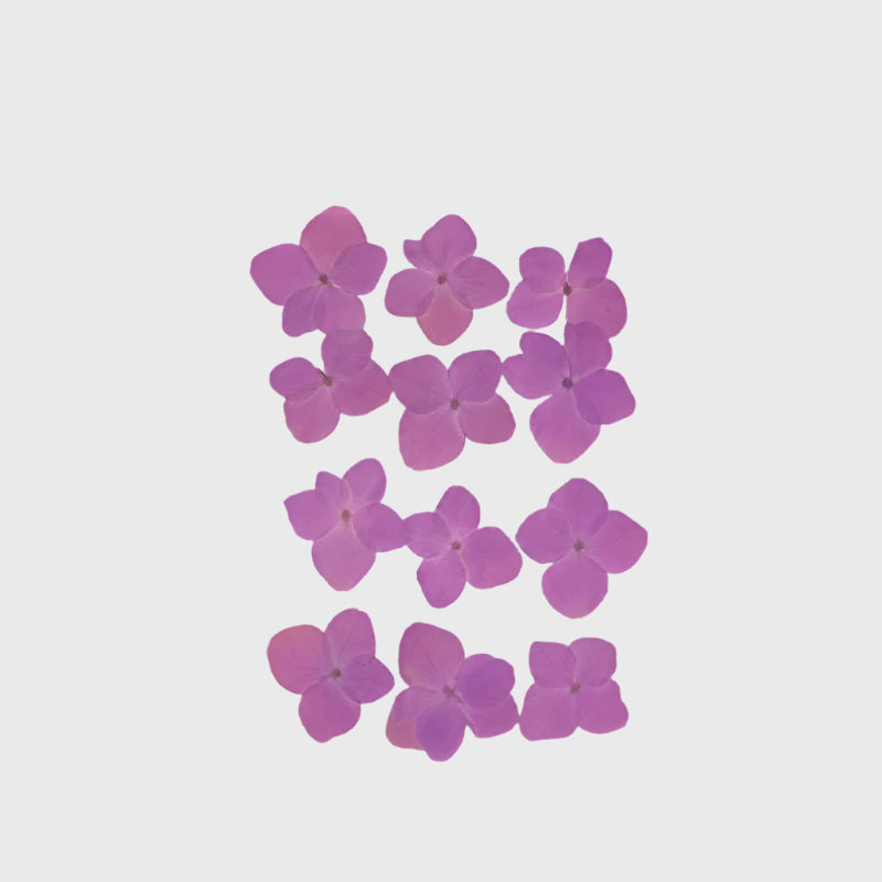 Natural Dried Pressed Flowers