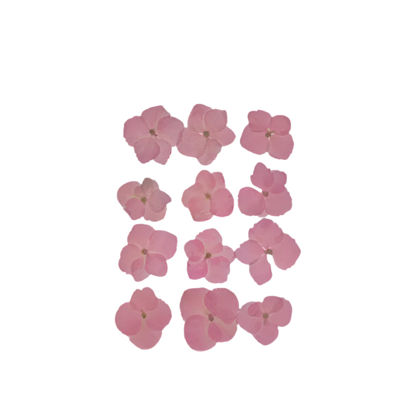 Natural Dried Pressed Flowers
