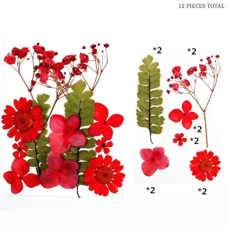 Natural Dried Pressed Flowers