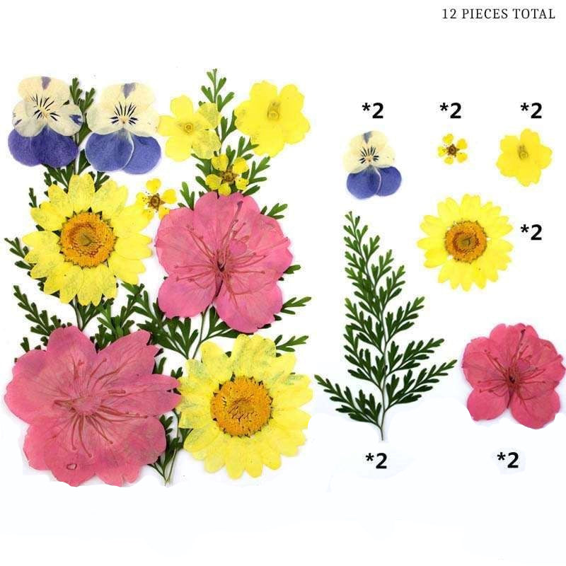 Natural Dried Pressed Flowers