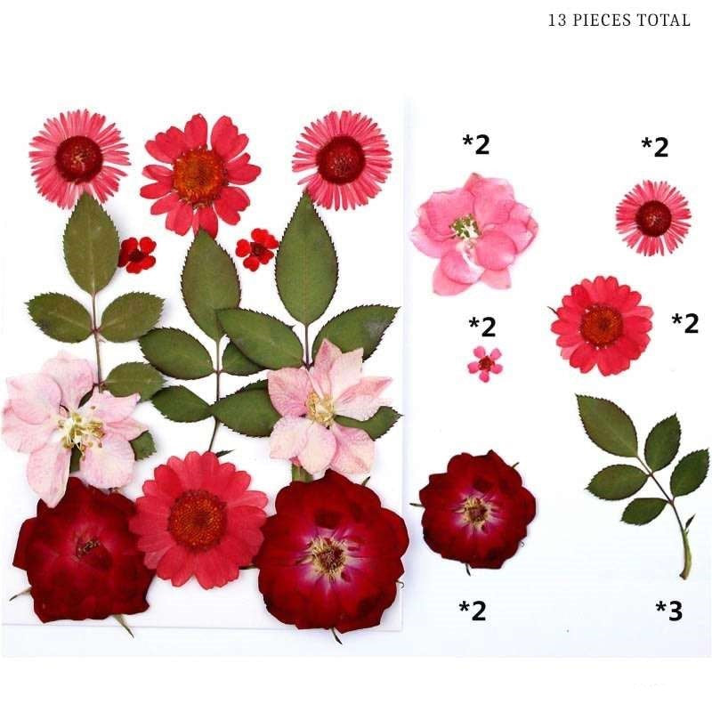 Natural Dried Pressed Flowers