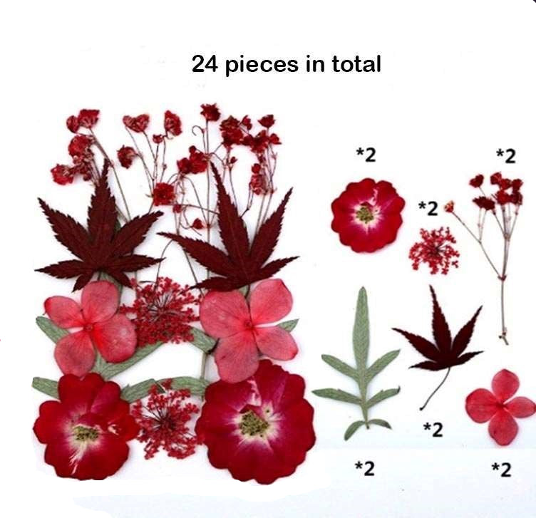 Natural Dried Pressed Flowers