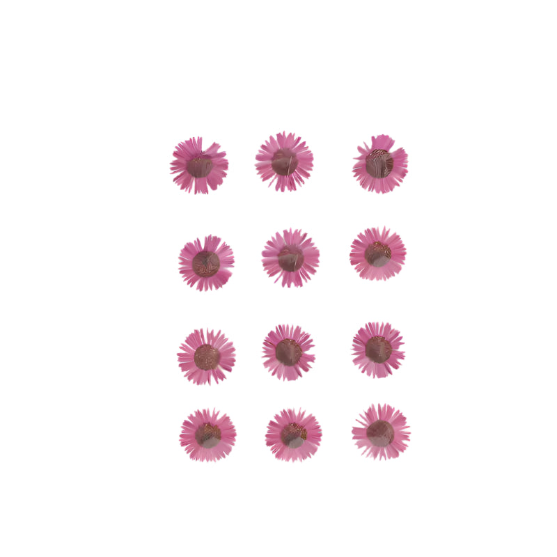 Natural Dried Pressed Flowers