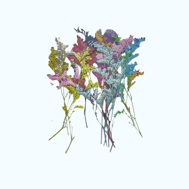 Natural Dried Pressed Flowers