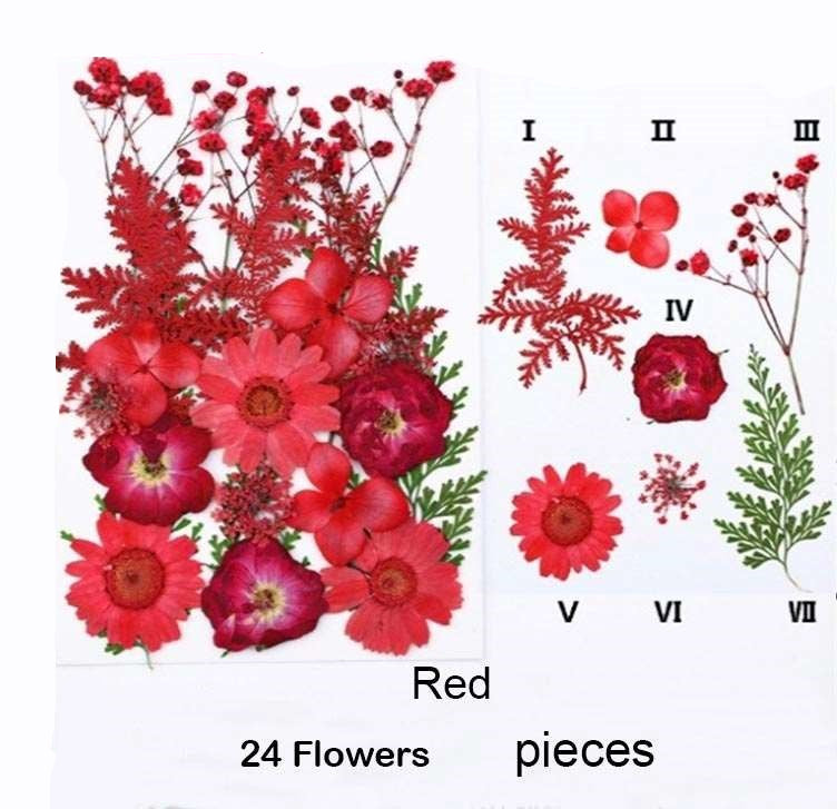 Natural Dried Pressed Flowers