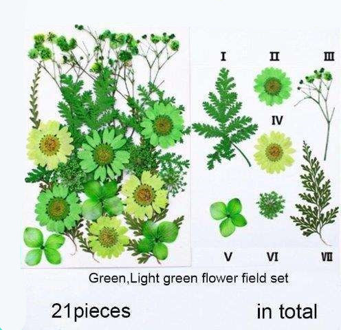 Natural Dried Pressed Flowers