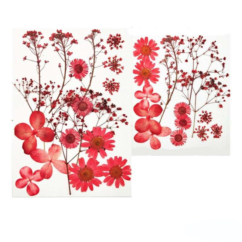 Natural Dried Pressed Flowers