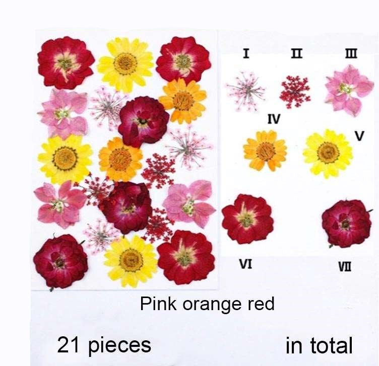 Natural Dried Pressed Flowers