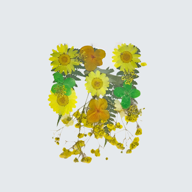 Natural Dried Pressed Flowers