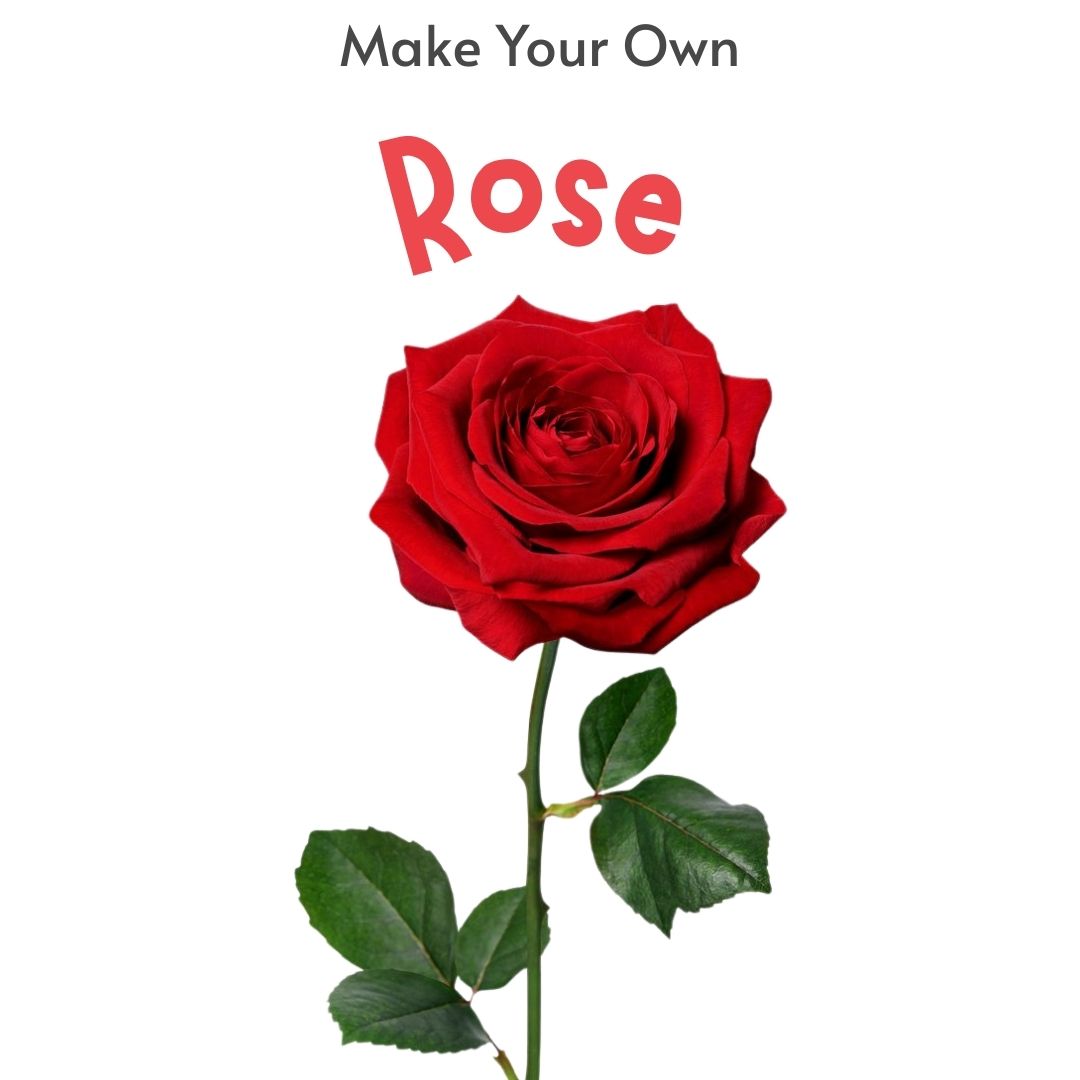 Rose | DIY Kit