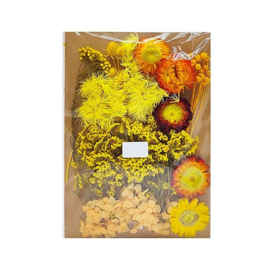 Dried Flowers Pack