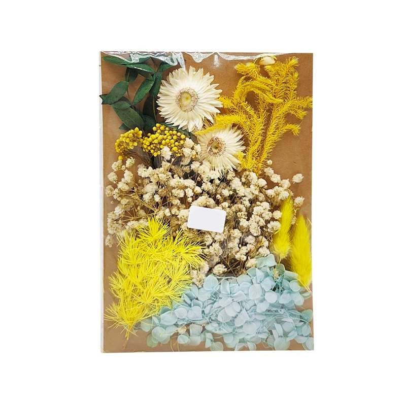 Dried Flowers Pack