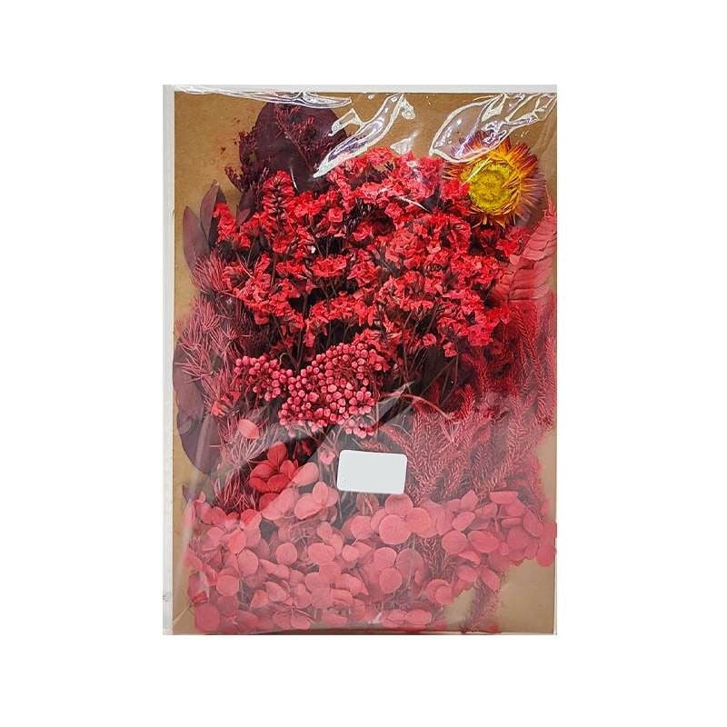 Dried Flowers Pack