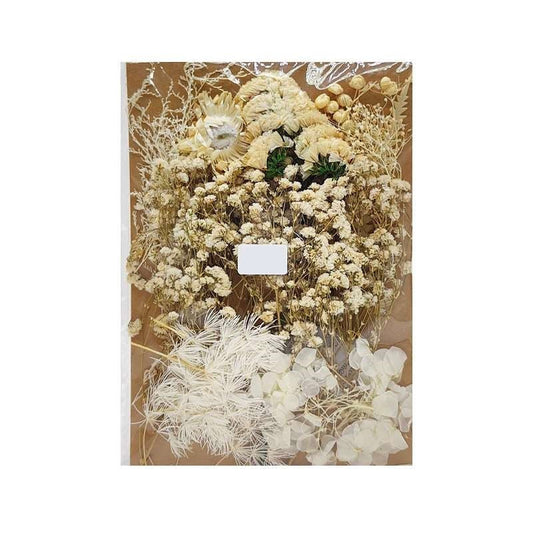 Dried Flowers Pack