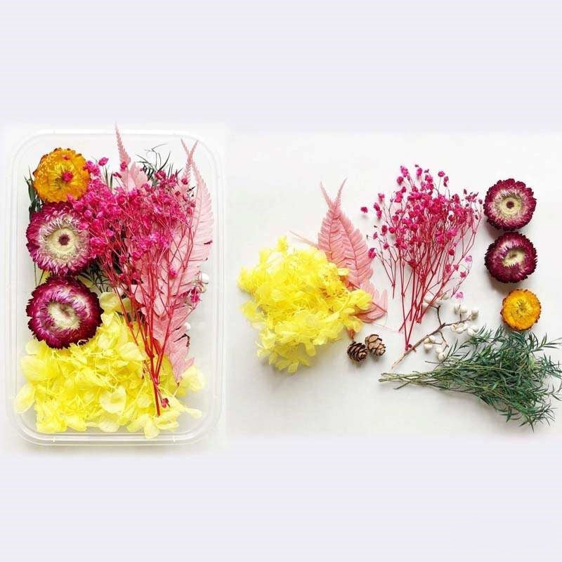 Dried Flowers Box
