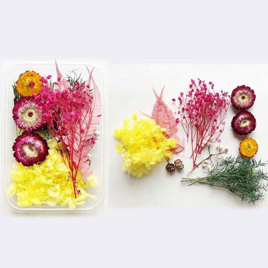 Dried Flowers Box