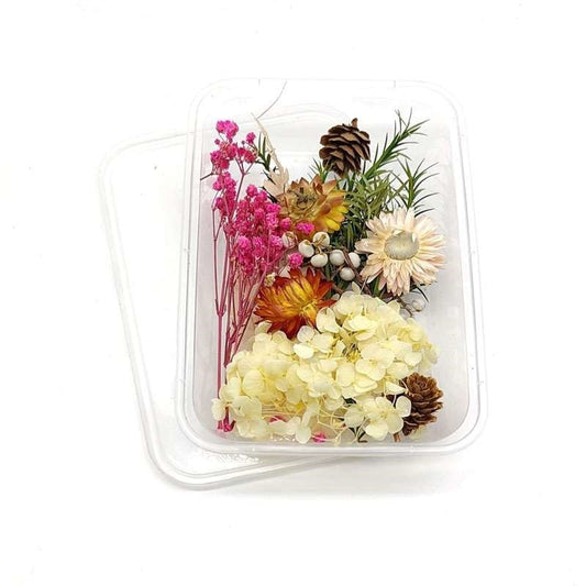 Dried Flowers Box