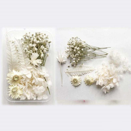 Dried Flowers Box
