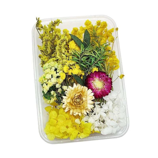 Dried Flowers Box