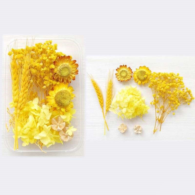 Dried Flowers Box