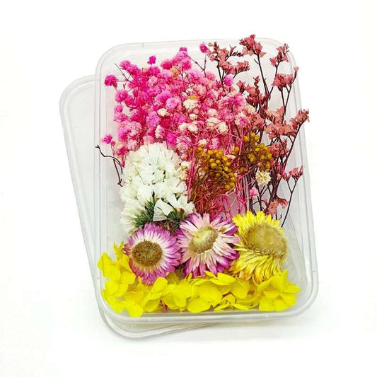 Dried Flowers Box