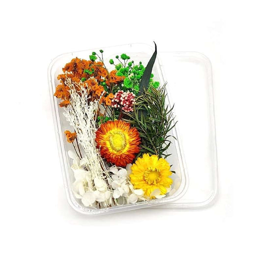 Dried Flowers Box
