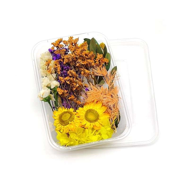 Dried Flowers Box
