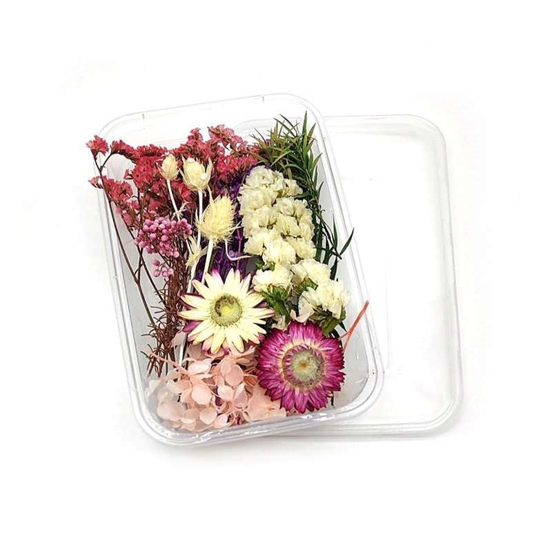 Dried Flowers Box