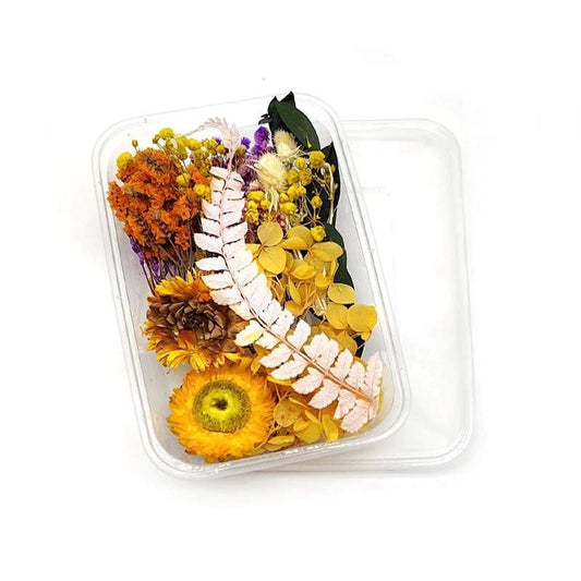 Dried Flowers Box