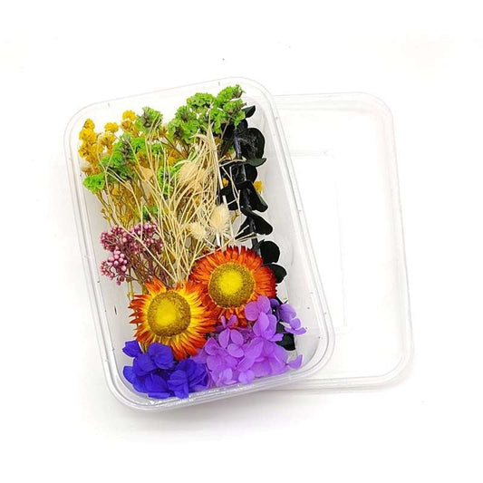 Dried Flowers Box