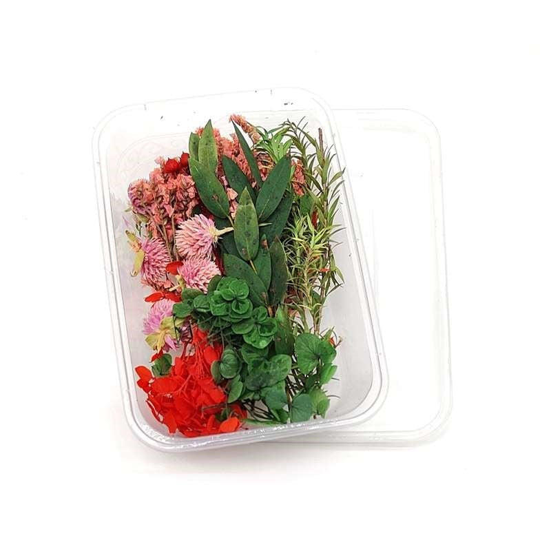 Dried Flowers Box