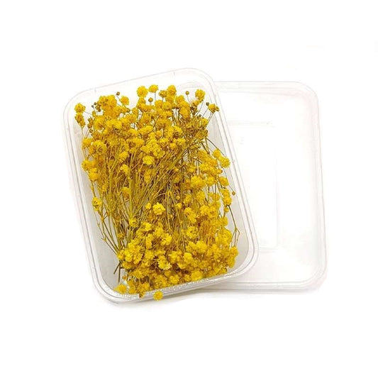 Dried Flowers Box