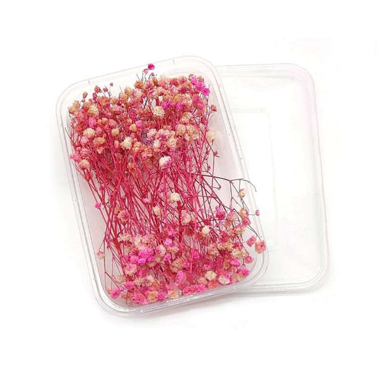 Dried Flowers Box