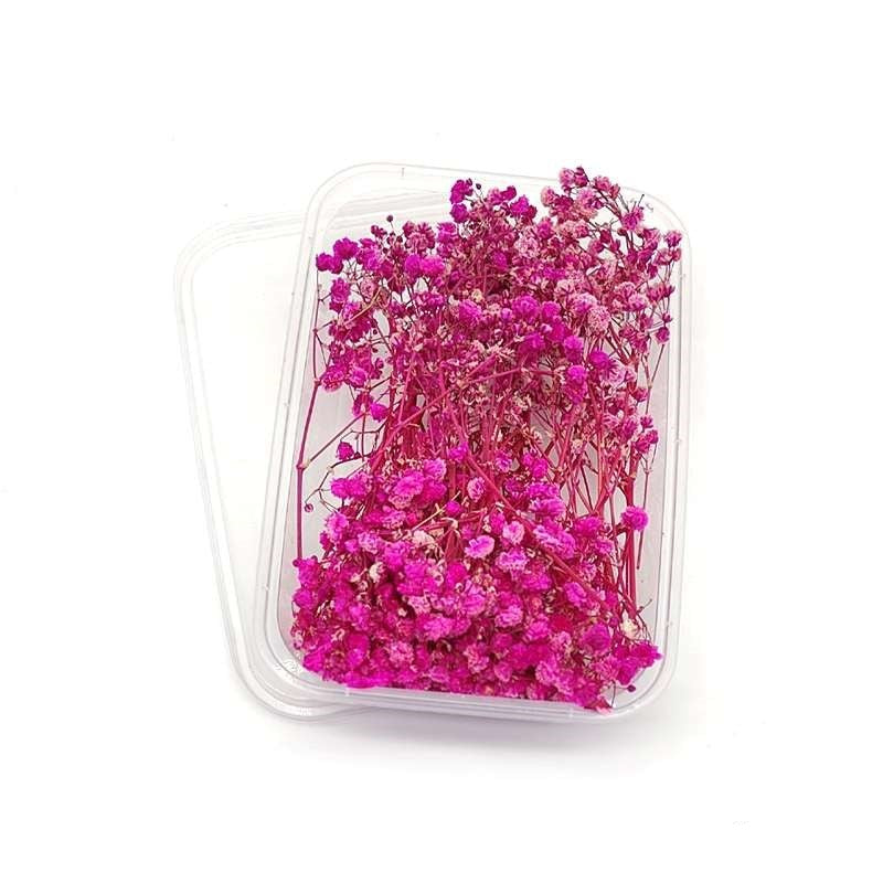 Dried Flowers Box