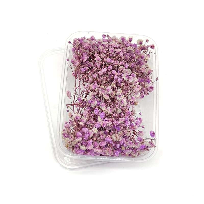 Dried Flowers Box
