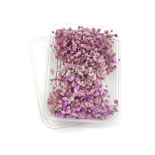 Dried Flowers Box