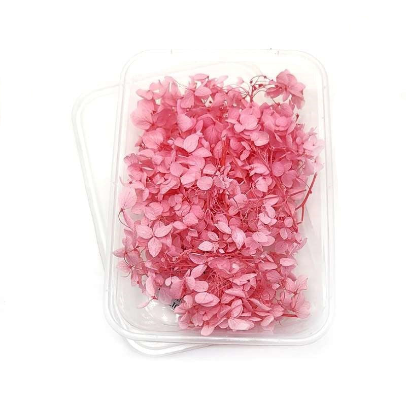 Dried Flowers Box