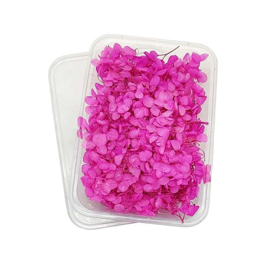 Dried Flowers Box