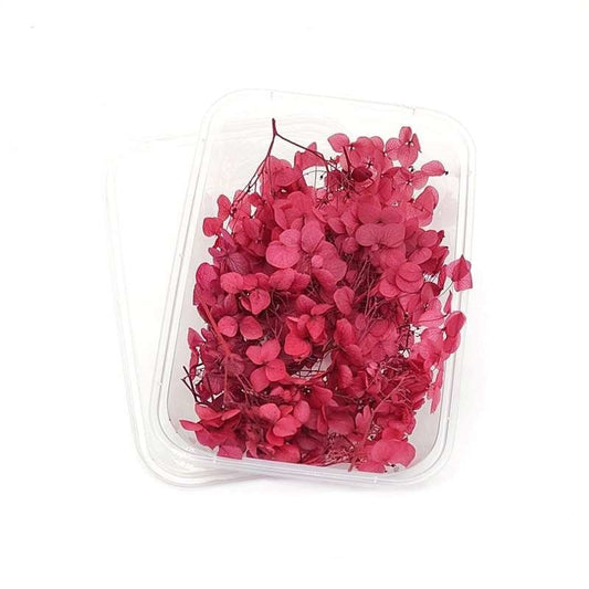 Dried Flowers Box