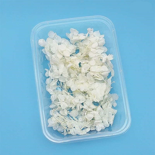 Dried Flowers Box