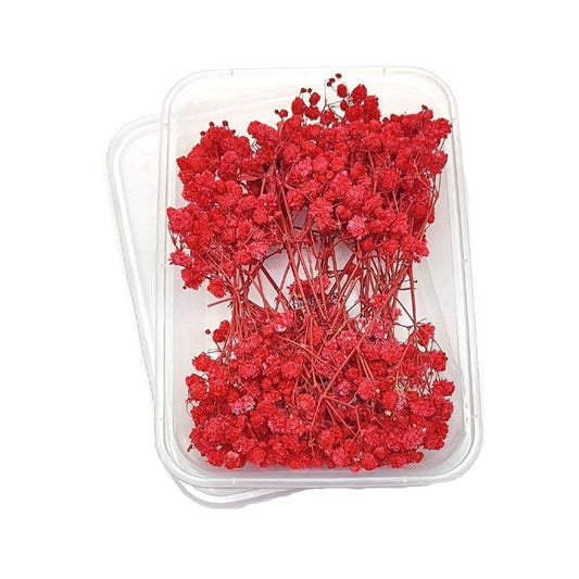 Dried Flowers Box
