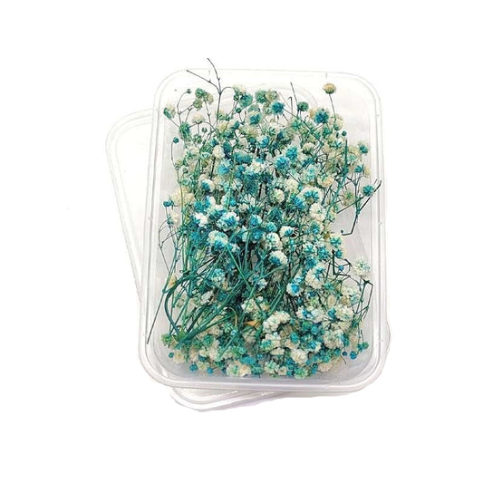 Dried Flowers Box
